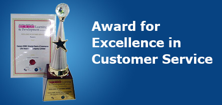 Excellence in Customer Service Award